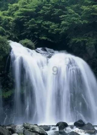 园丁逃生